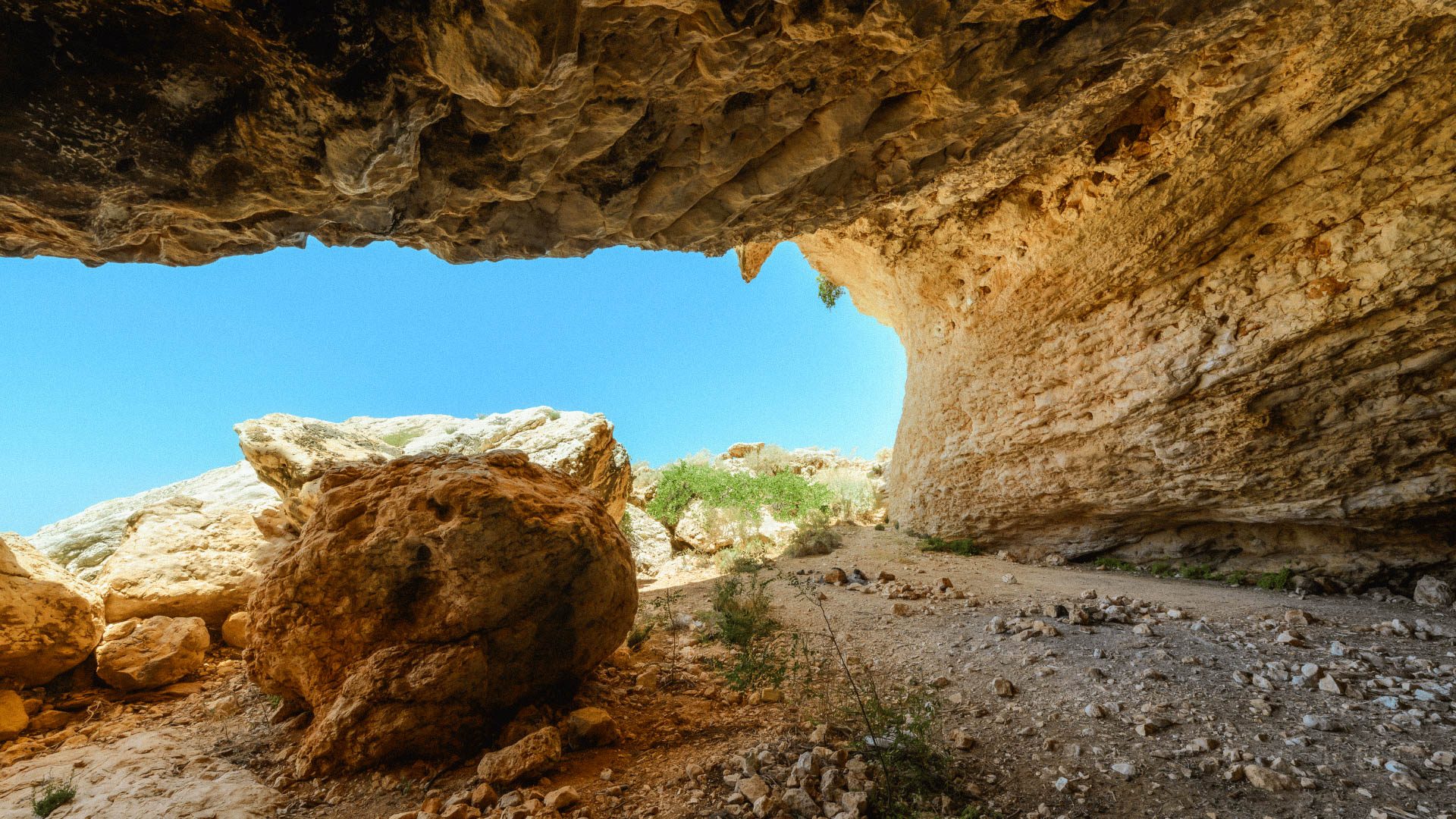 Socotra Photos - 25