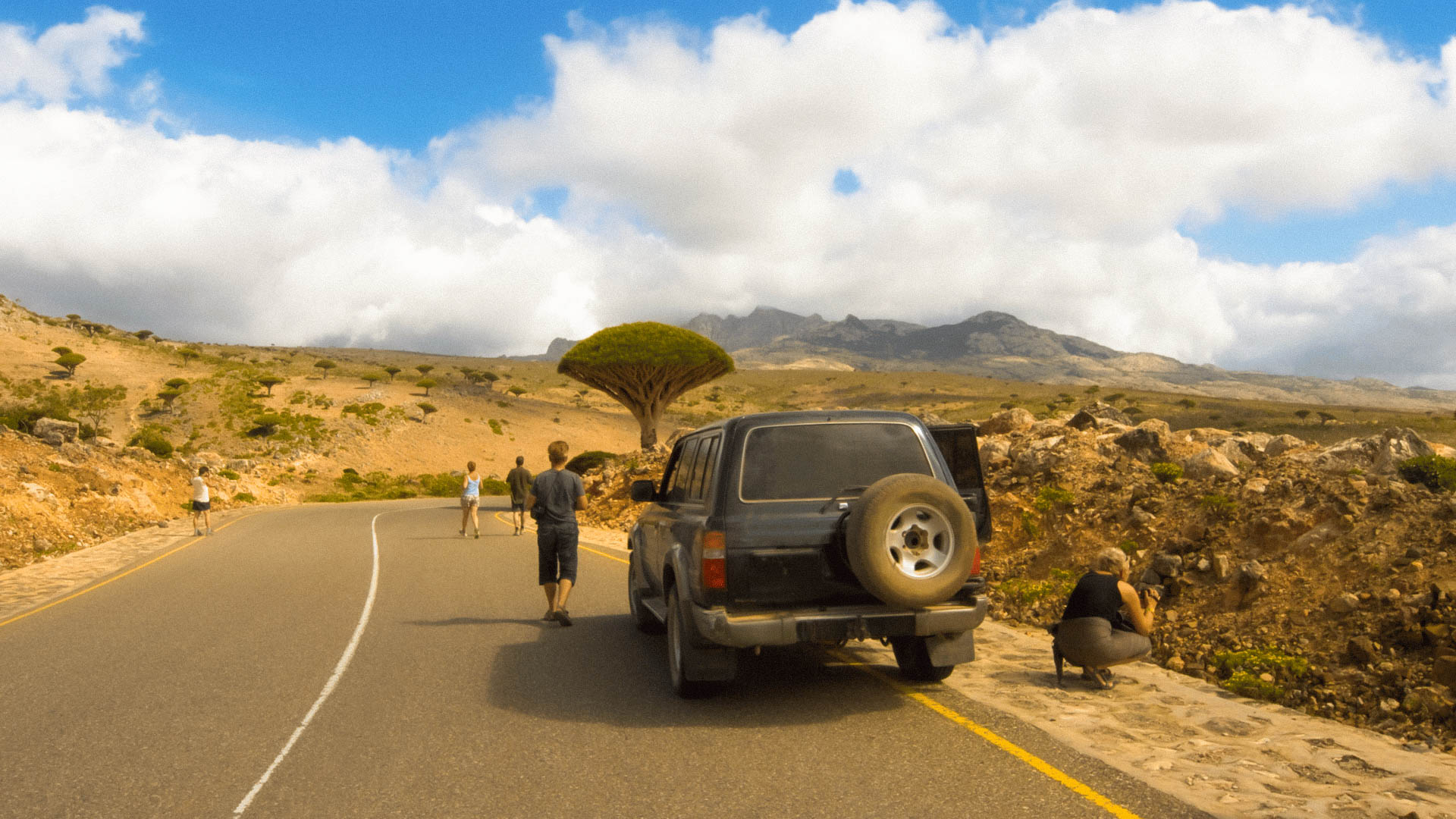 Socotra Photos - 36