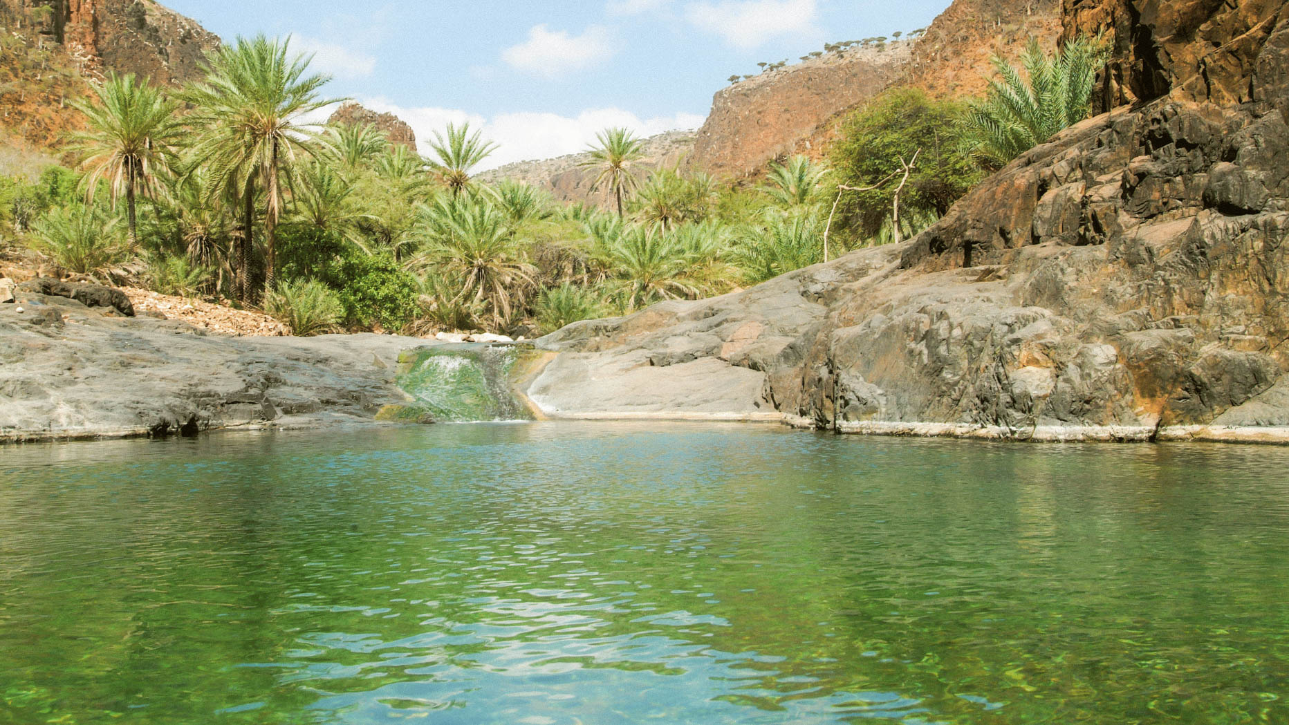 Socotra Photos - 33