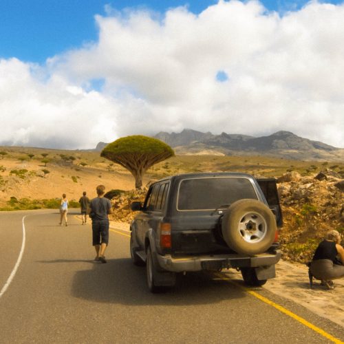 Socotra Photos - 36